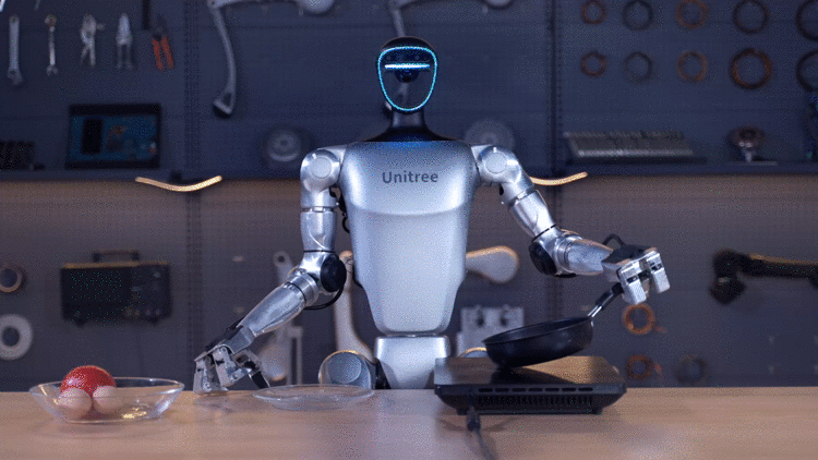 G1 Humanoid Robot
