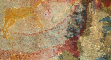 Ancient Rock Paintings Amazon Reveal Extinct Species 2000 Years Scientific Identification