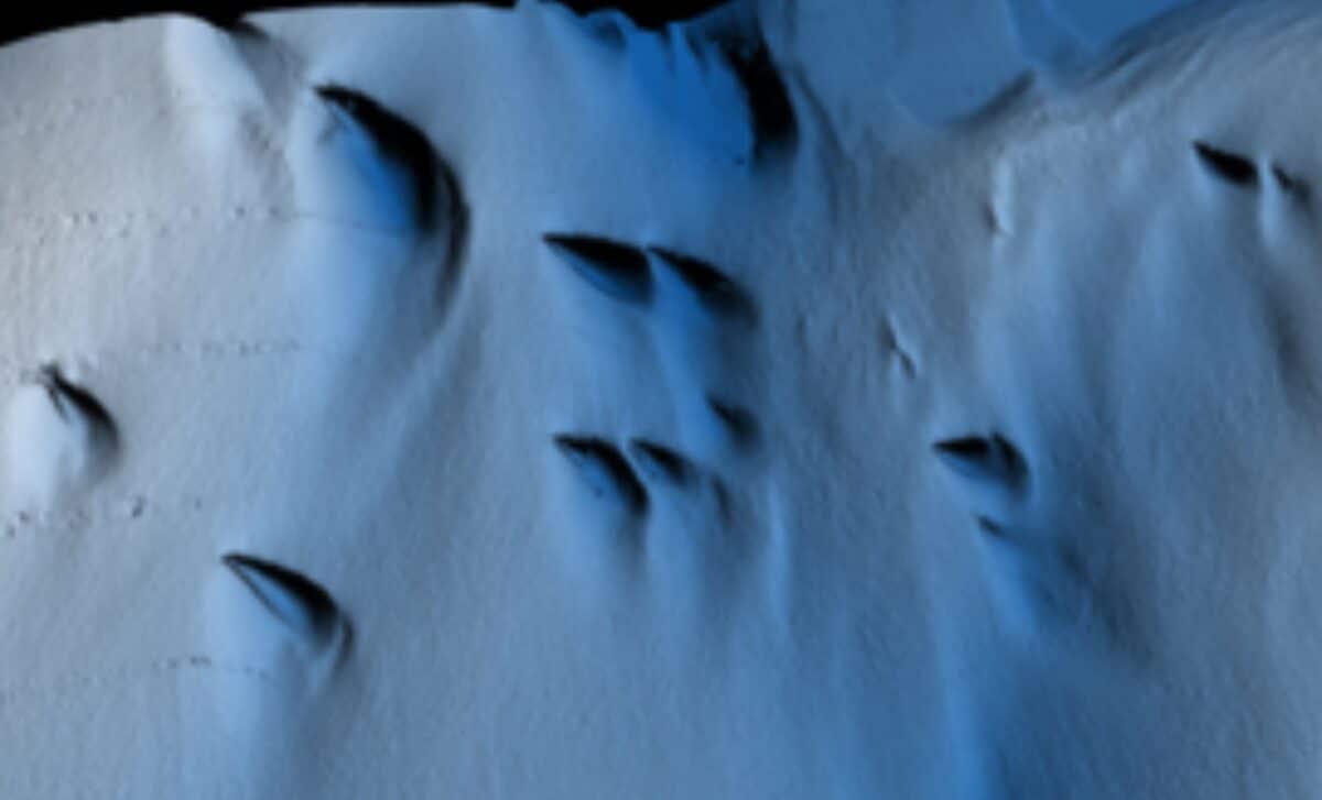 Antarctica Expedition Reveals Never Seen Before Patterns Beneath Ice Shelf