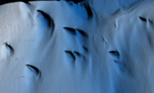 Antarctica Expedition Reveals Never Seen Before Patterns Beneath Ice Shelf