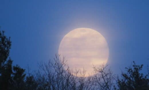 Brightest October Supermoon Of 2024 Hunter's Moon To Illuminate Night Skies