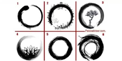 Discover Your Soul Take Circle Personality Test Reveal Your Hidden Traits