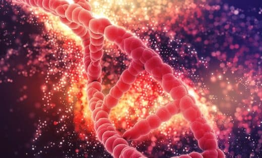 Dna Artistic