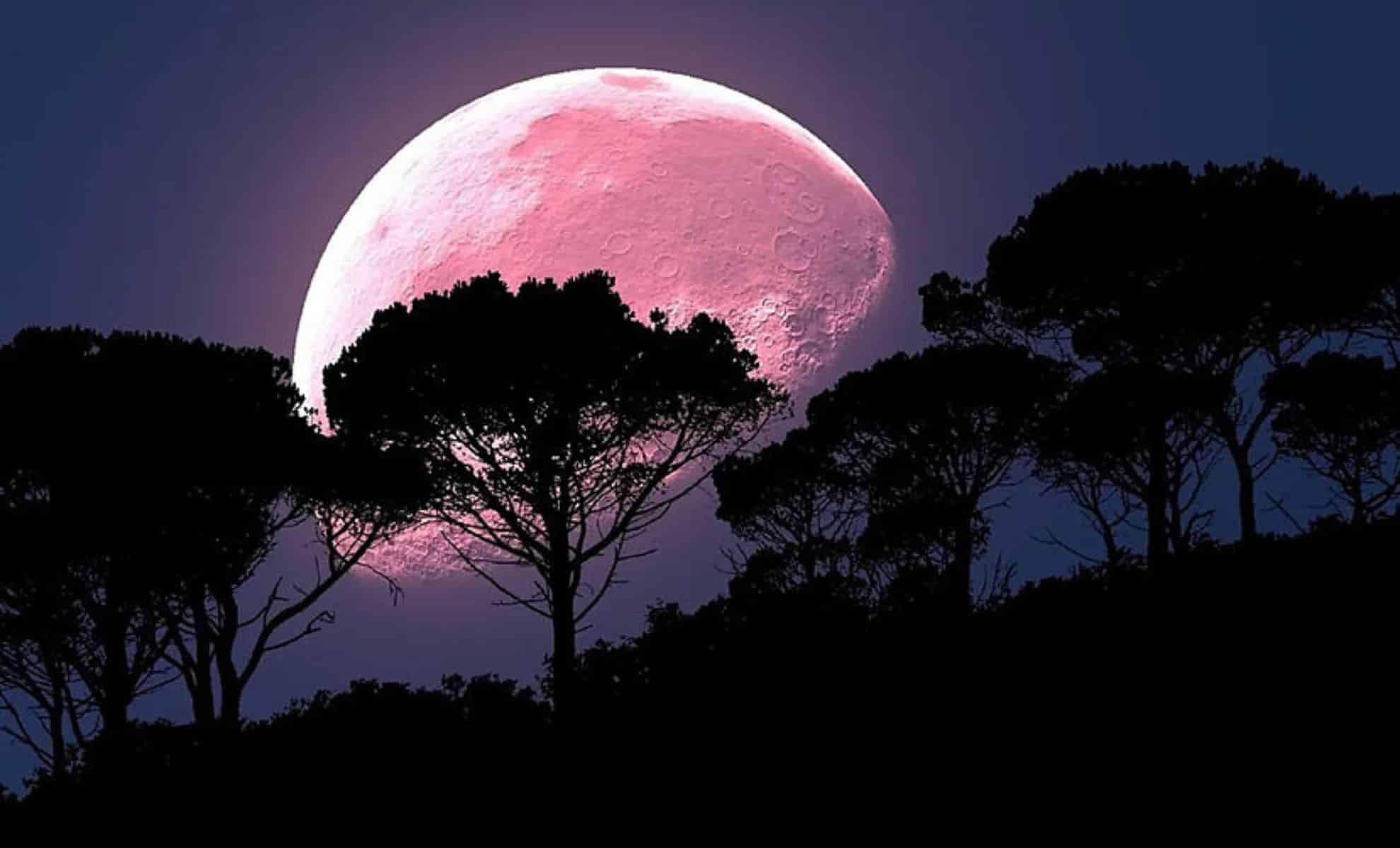 Don't Miss This Week's Spectacular Strawberry Moon A Celestial Delight