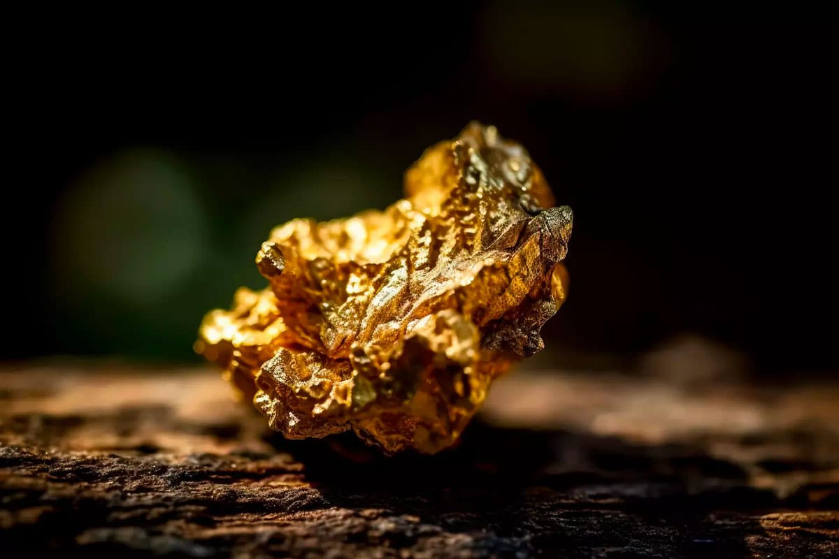 Electronic Waste Contains Valuable 22 Carat Gold Sought Scrap Dealers Despite Widespread Disposal
