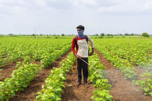 Eu Banned Pesticides Discovered Imported Products Sold Across France