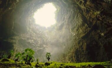 Hidden Forests China's Massive Sinkholes Reveal Ancient Ecosystems