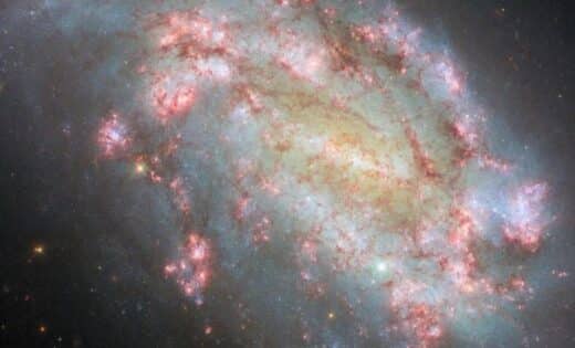 Hubble Captures A Breathtaking View Of Ngc 1559 In The Reticulum Constellation