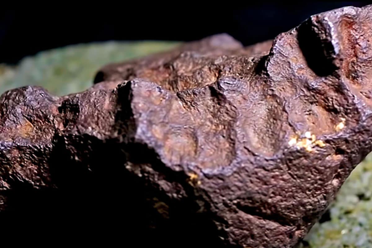Million Dollar Meteorite Discovered Decades As Doorstop Rare Space Rock Shocks Scientists