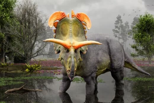 New Dinosaur With Loki Like Horns Discovered In The United States