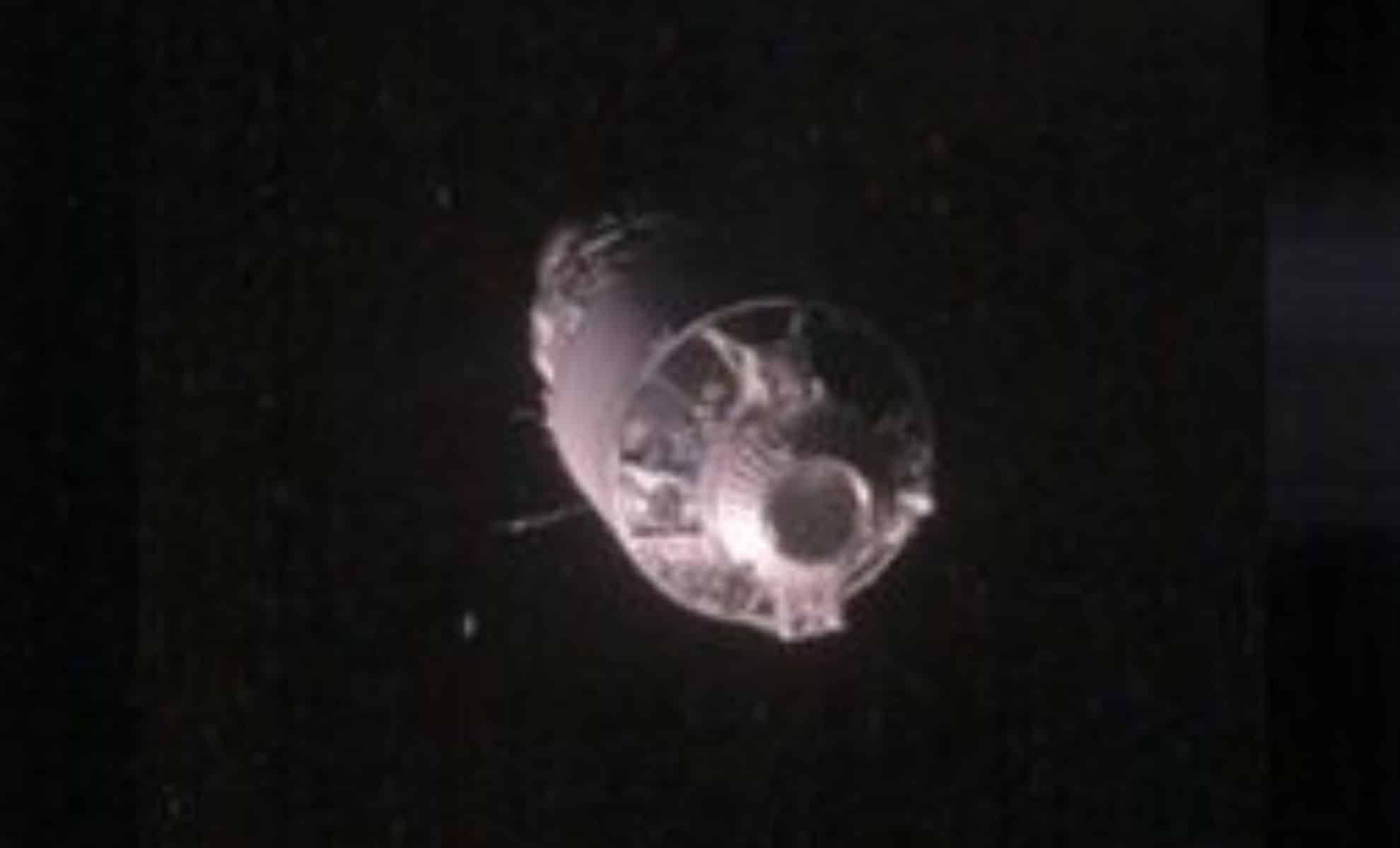 New Mission Unveils Close Up Footage Of Orbiting Space Debris