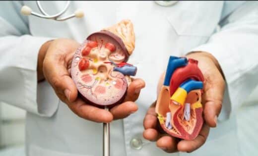 New Research Highlights Key Dietary Changes That Reduce Heart And Kidney Disease Risks