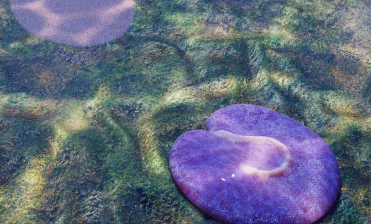 Paleontologists May Have Uncovered One of Earth's Oldest Moving Animals in Australia's Outback (Artist's impression of Quaestio simpsonorum.)
