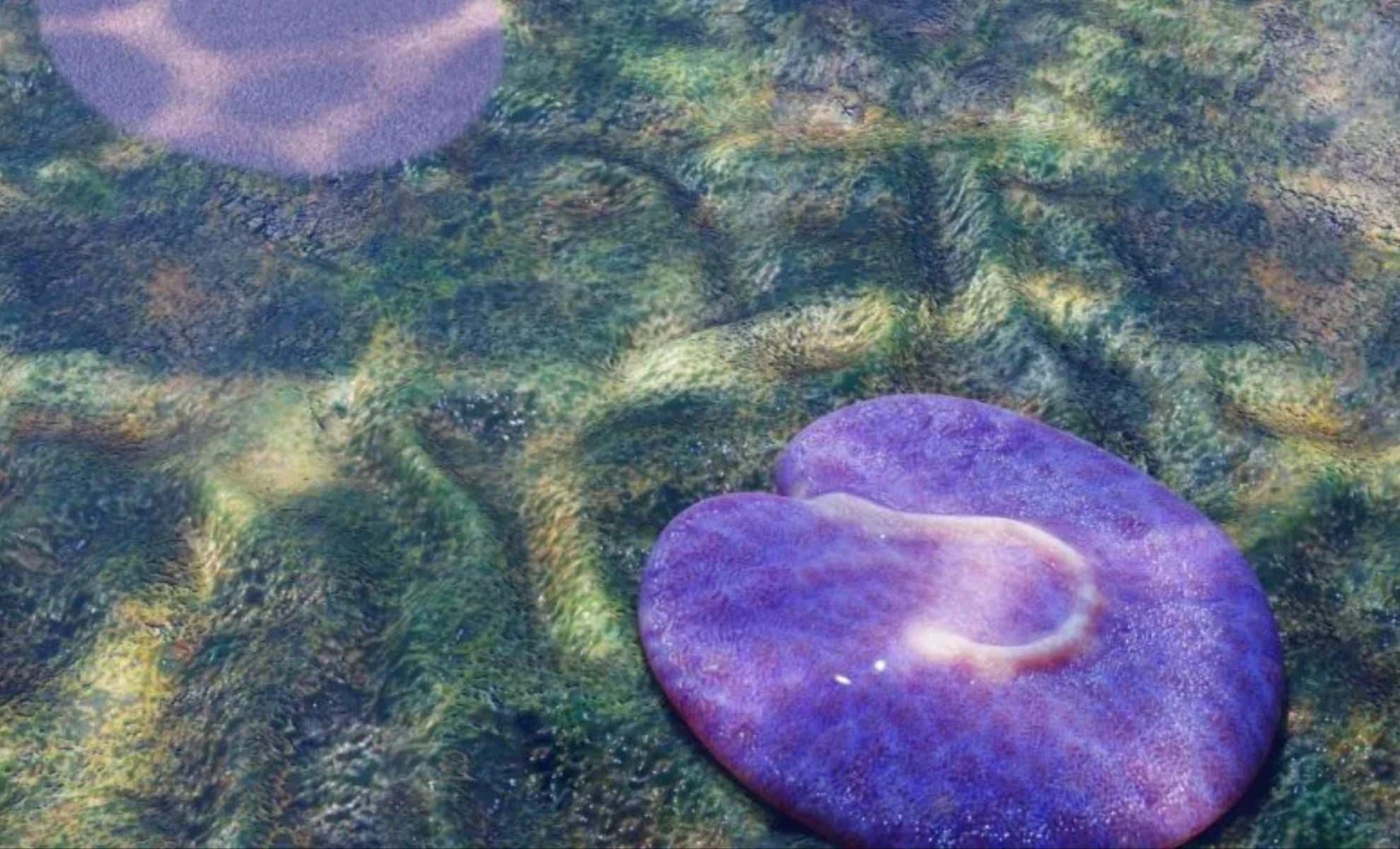 Paleontologists May Have Uncovered One of Earth's Oldest Moving Animals in Australia's Outback (Artist's impression of Quaestio simpsonorum.)
