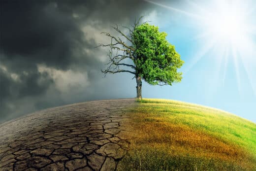 Study Reveals Tough Sacrifice We Should Make Save Earth