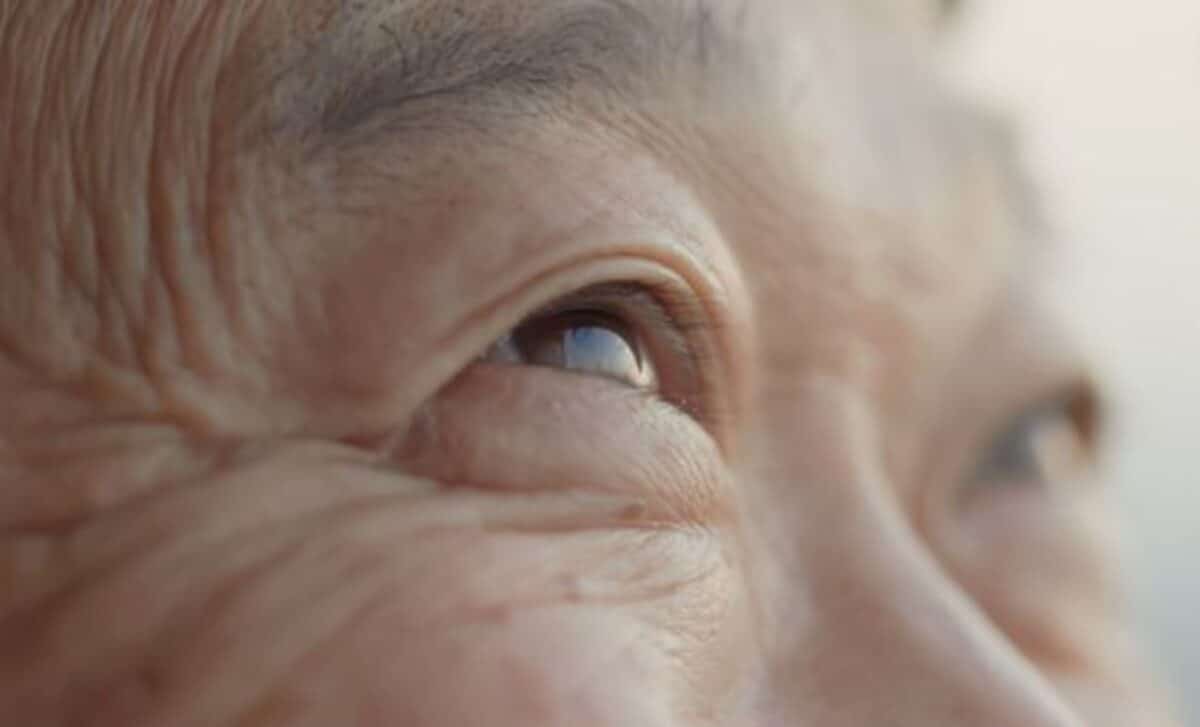 Study Shows Vision Can Predict Dementia 12 Years Before Diagnosis