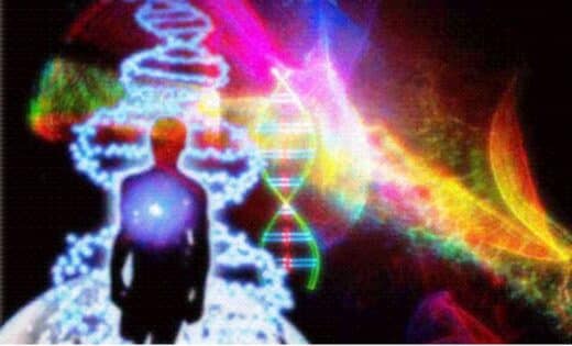 The Dna Mystery