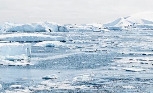 Unlocking The Secrets Of Survival How Early Humans Adapted To Cold Climates