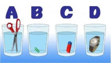 Viral Visual Puzzle Challenges Observers Identify Fullest Glass Deceptive Water Test
