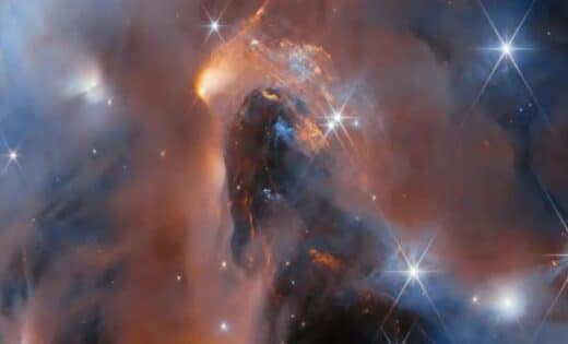 Webb Telescope Uncovers Six Rogue Planets Within A Distant Star Forming Nebula