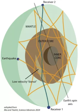 A Diagram Showing Seismic Waves Traveling Through Earth.